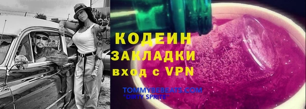 спиды Алзамай
