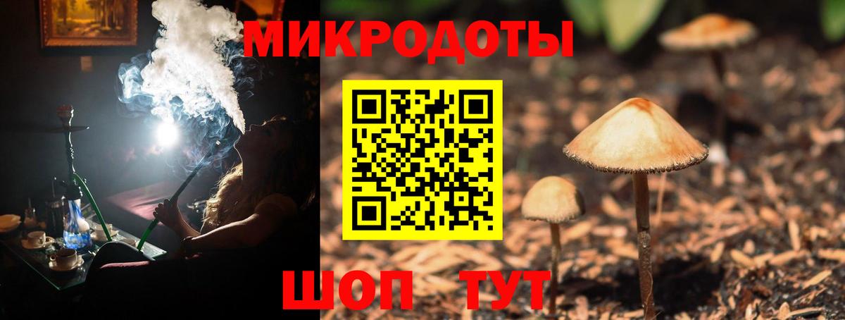 Галлюциногенные грибы прущие грибы Петрозаводск